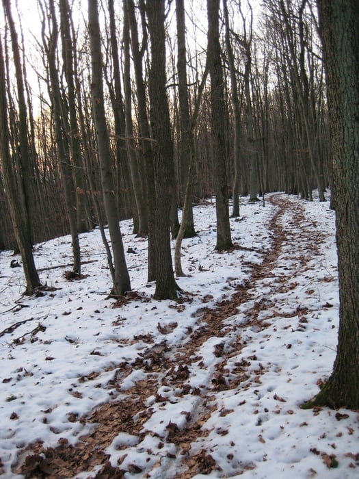 Bamberg Trails - Stammberg 01