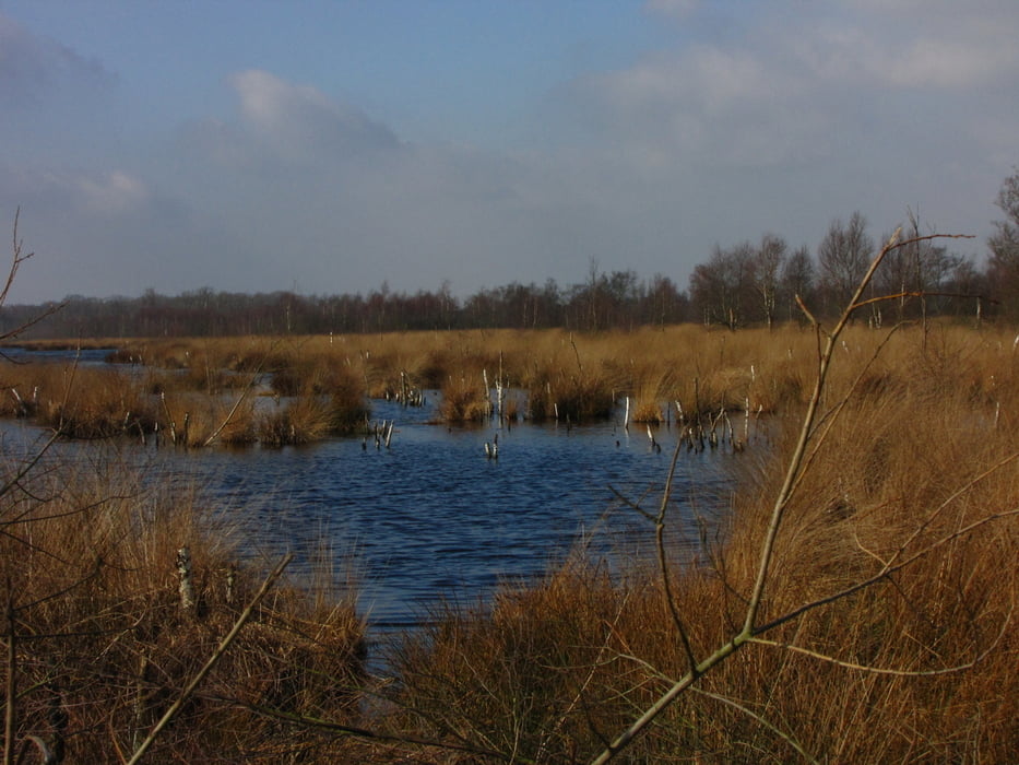 Mariapeel zwischen Helenaveen und Griendtsveen