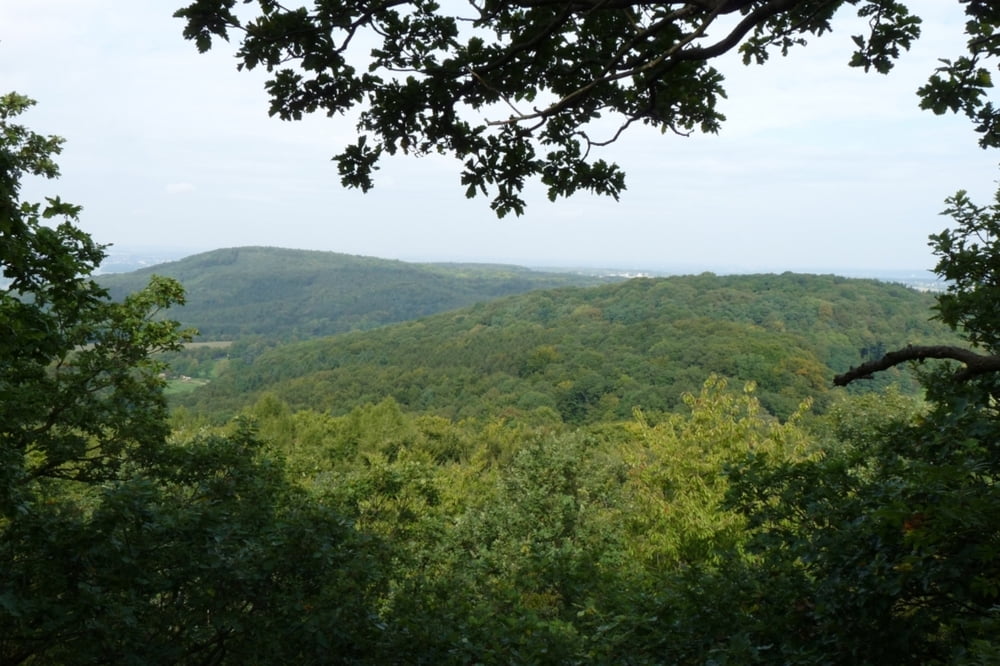 Rundwanderung_Margarethenhöhe-Lohrberg-Jungfernhardt-Ölbergweg