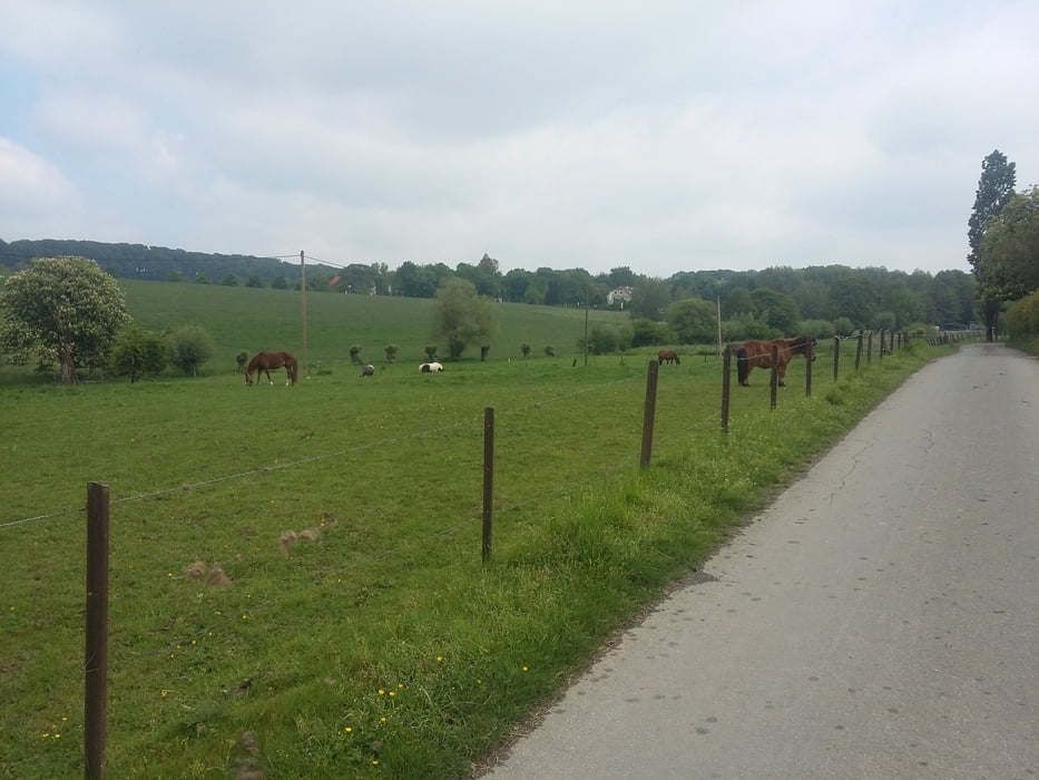 Über die Wuppertaler Nordhöhen II