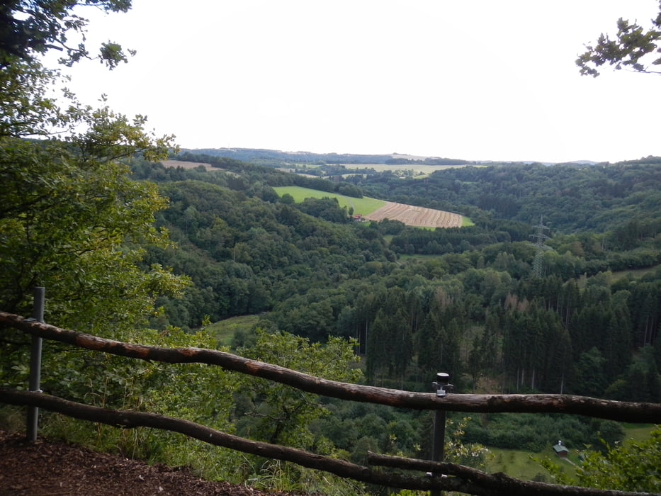 Aussicht beim Weinschrank