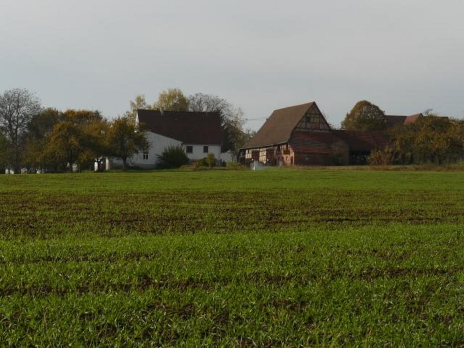 Rundwanderung bei Rielingshausen