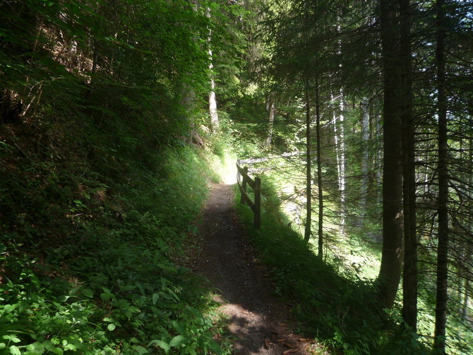 Alpenüberquerung Stühlingen - Riva