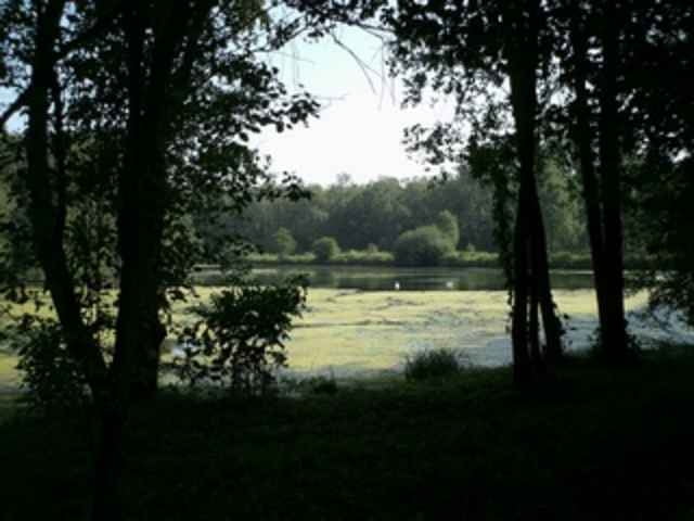 Von der Elbe nach Wulfsmühle