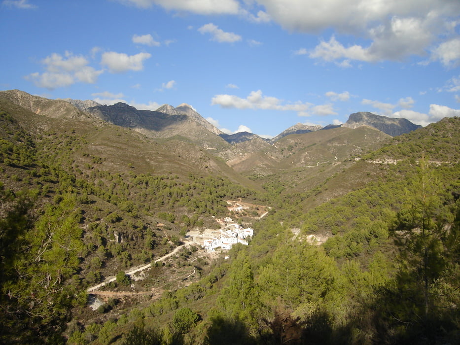 Singletrail Acebuchal