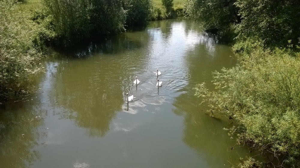 Lippe bei Lippstadt