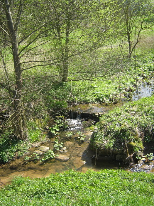 Von Oberschöllenbach zum Kreuzweiher  Nr.: 1