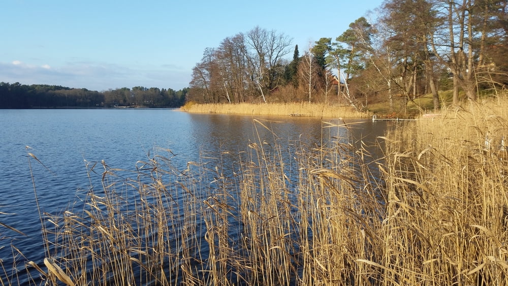 356. Teuplitz rund um den Tornow und Briesen See