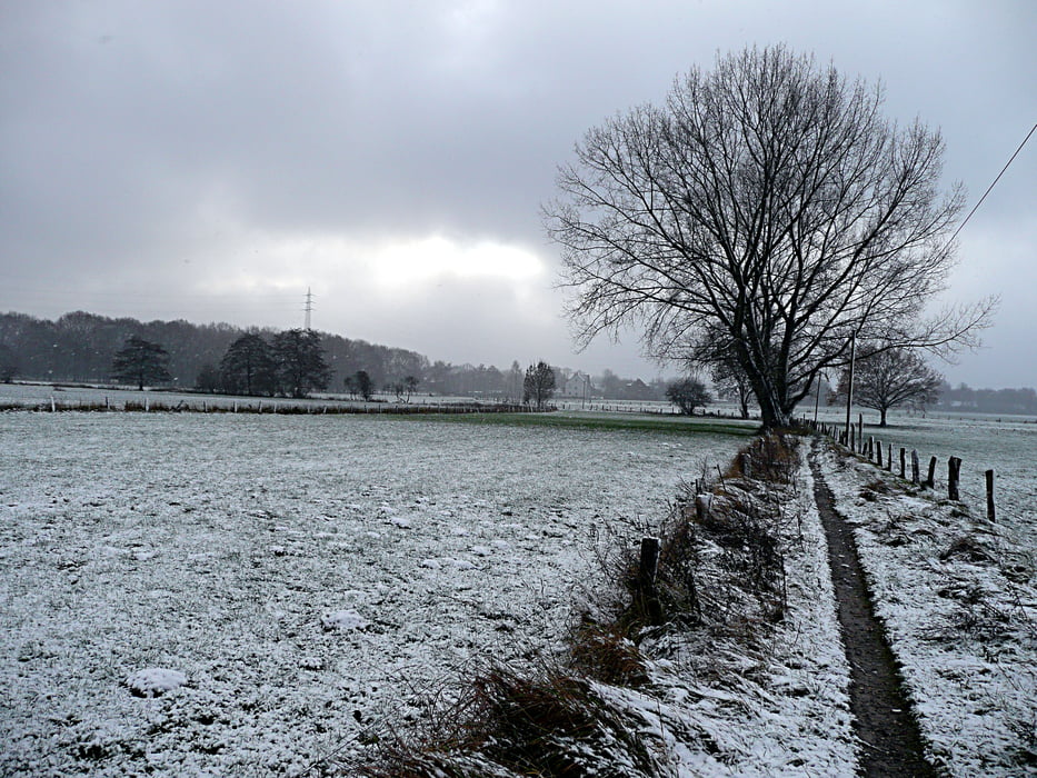 Halde Hoppenbruch