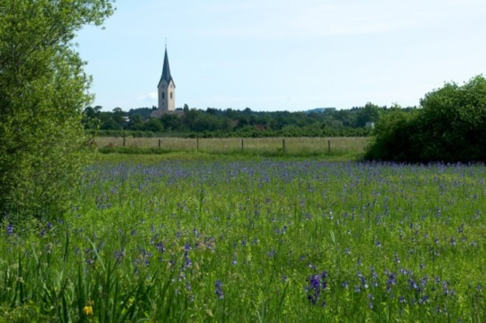 Rundweg Eriskircher Ried und Tettnang