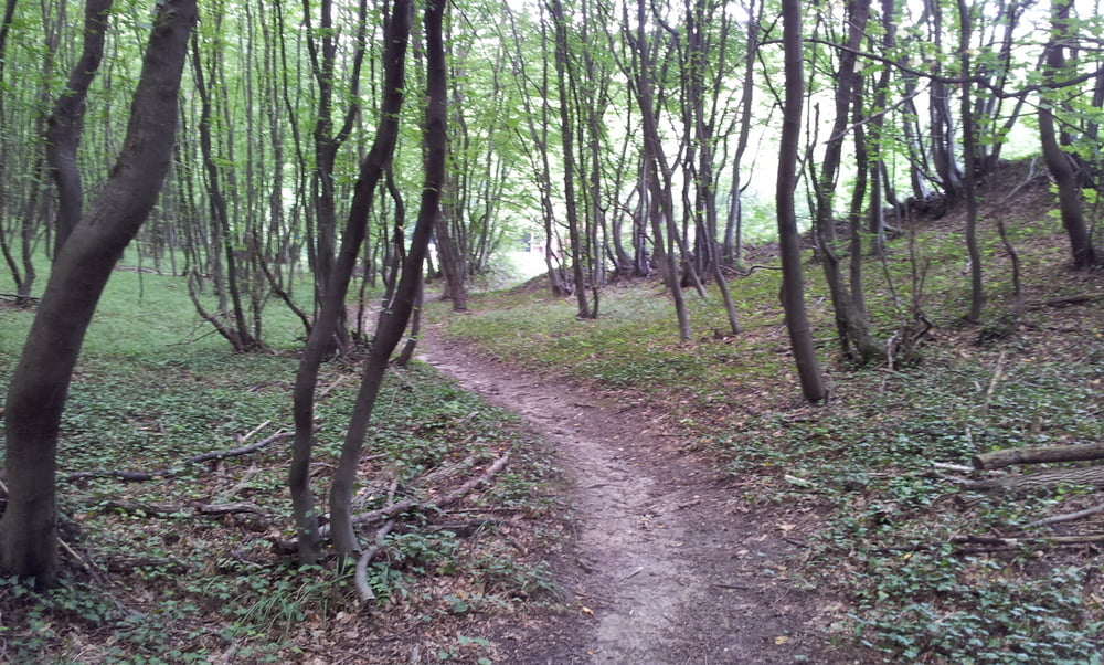 Radweg-Wüste-Strecke