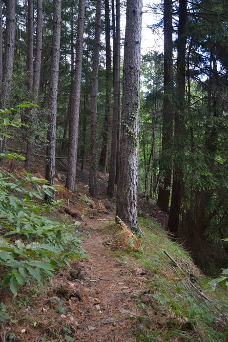 Eselwanderung von Le Lauzas nach Le Rey