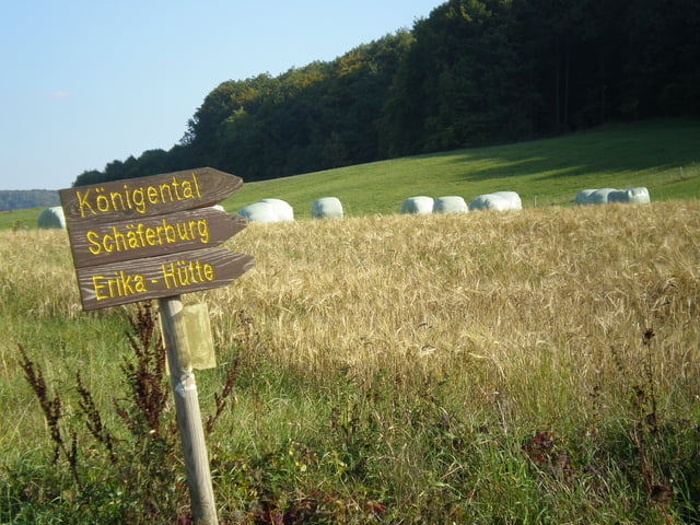 Zur Graburg (Bikeführer Werra Meißner)