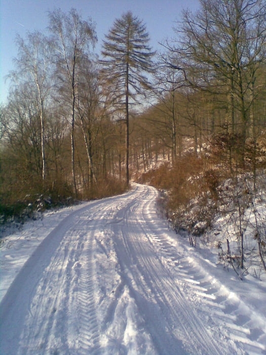 Ride - Der Eisbär 2009 (75 km)