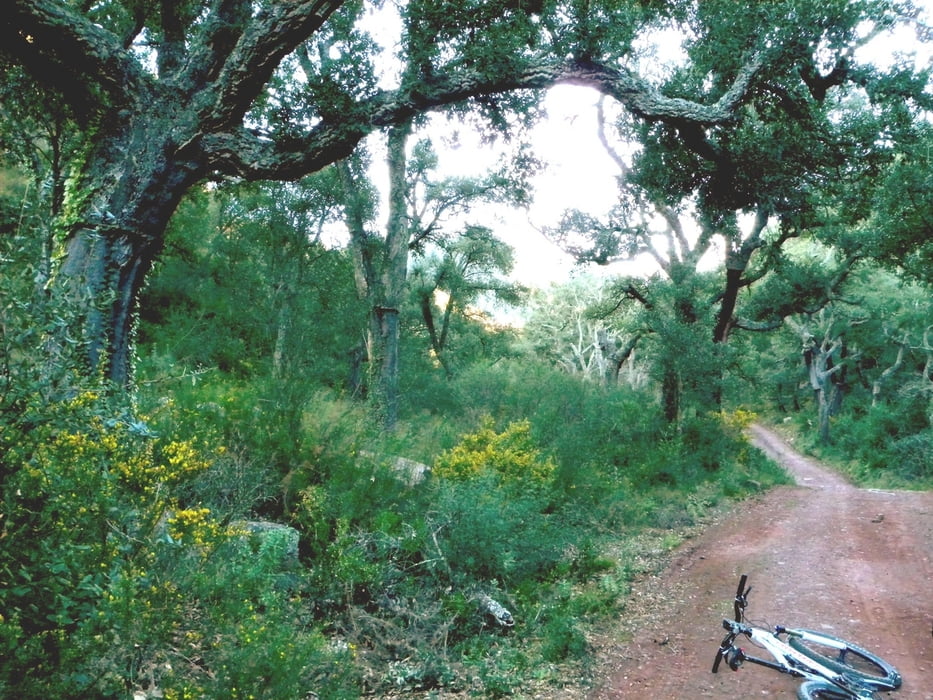 Parque Natural de la Sierra de Espadán