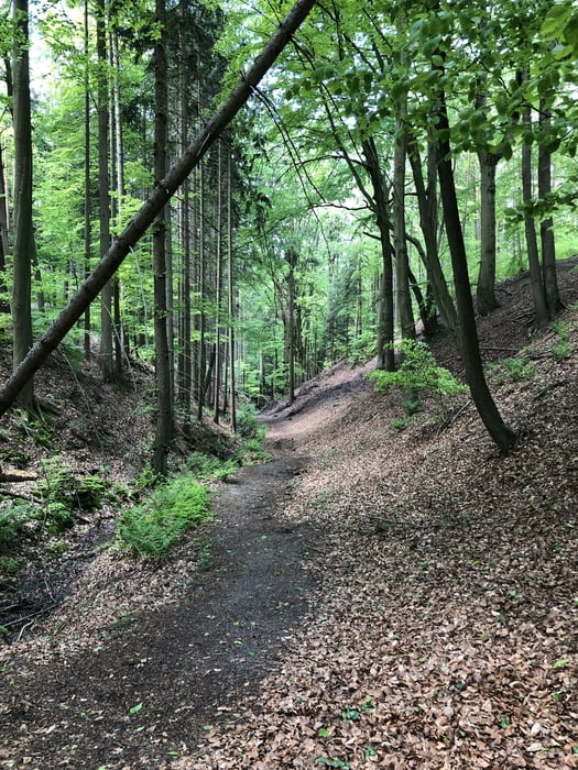Bad Klosterlausnitz: 7 Täler und viele Trails