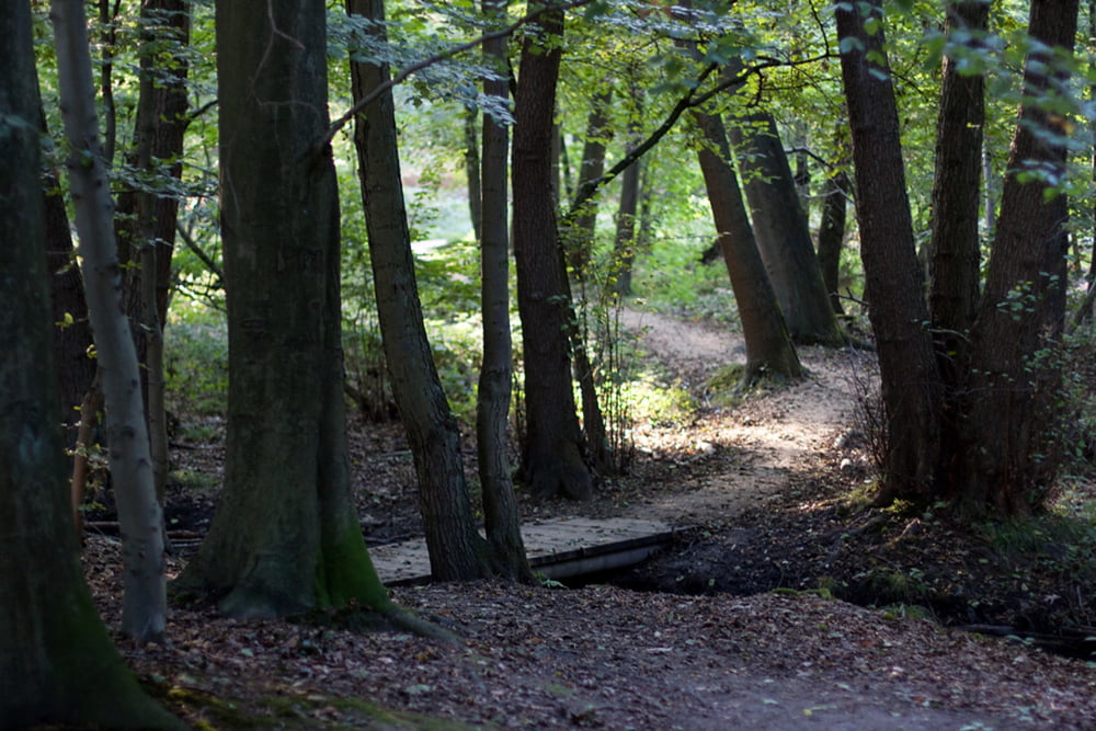 Feierabendrunde - Wassenberg -Halde - Tüschenbroich