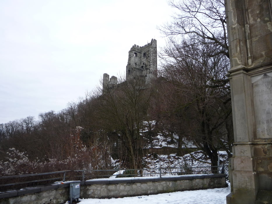 Königswinter-Petersberg-Nonnenstromberg-Ölberg-Löwenburg-Drachenfels