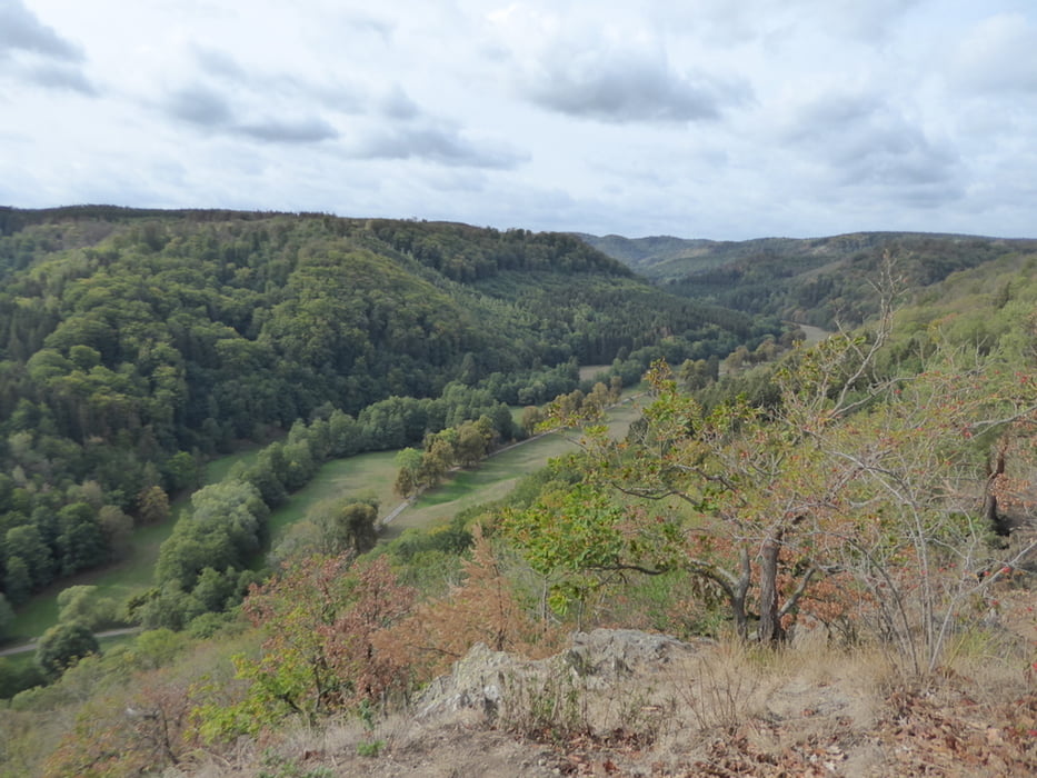 Selketal - Ackeburg - Burg Falkenstein - Ruine Anhalt