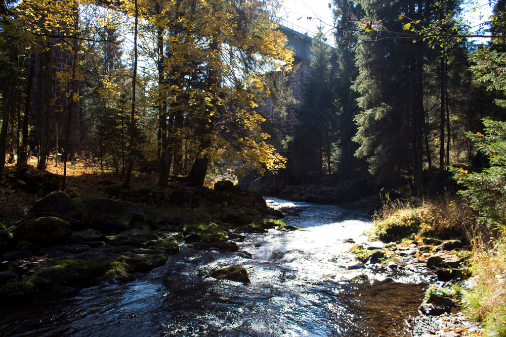 Haus zur Wildnis&Regener Flußwanderweg