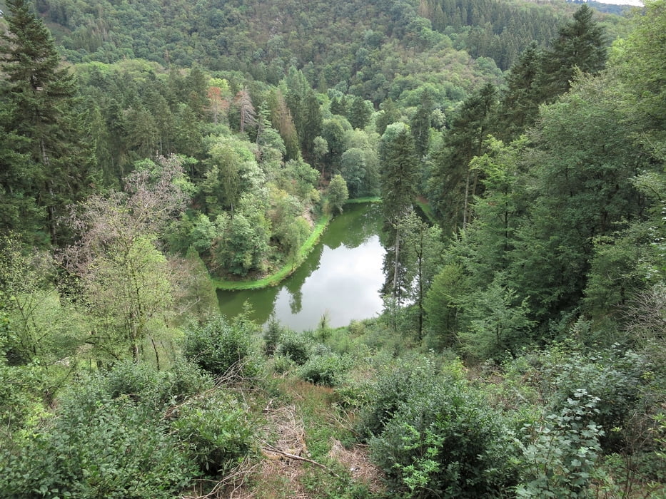 Grafschaftspfad Manderscheid