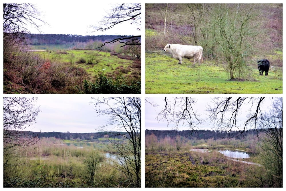 Naturschutzerlebniswelt bei Dünnwald