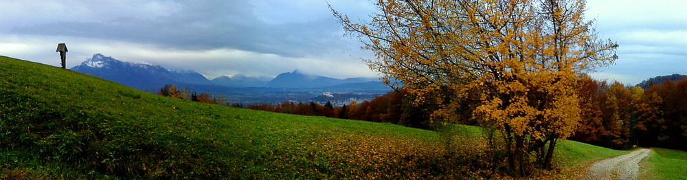 Auf den Gaisberg , dem  Hausberg der Stadt Salzburg auf nicht üblichem Weg.