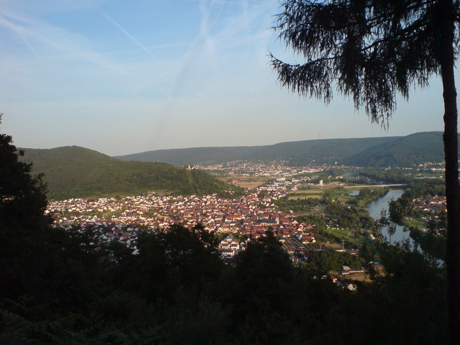 MTB-Tour Großheubach 2010