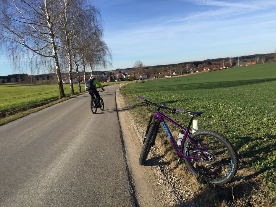 Fat(te) Gans - trag die Gans ins Hinterland! 