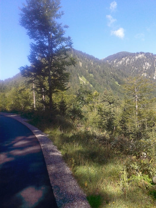 Wallberg von Enterrottach über Asphaltstraße