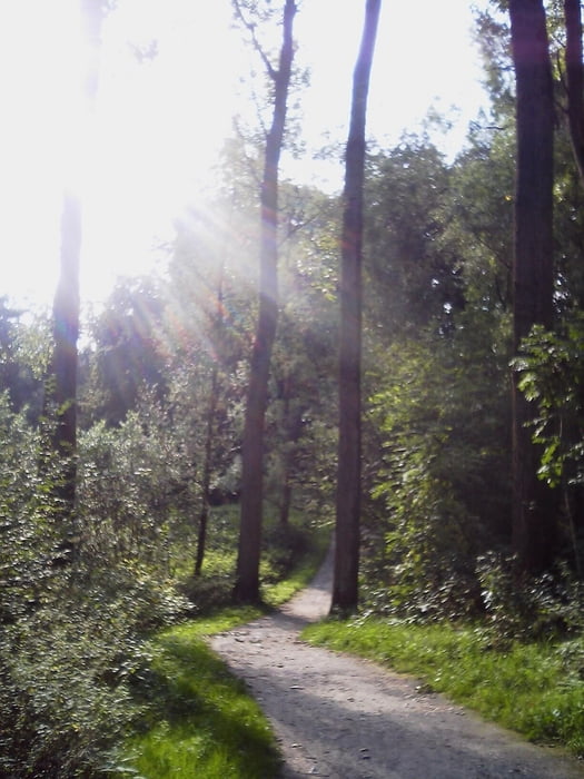 Gruga Tour 03 - Forstbachtal, Ruhrtal, Wolfsbachtal
