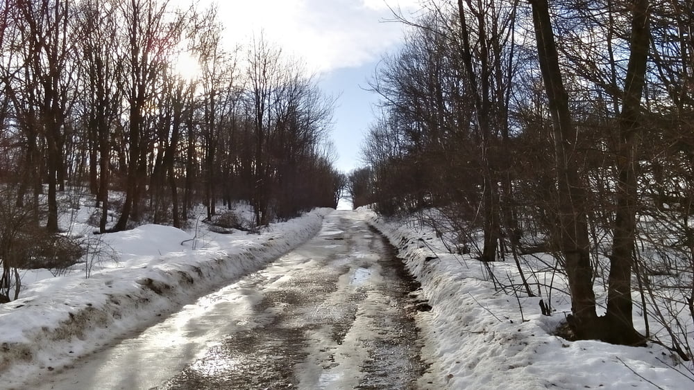 Kaltenleutgeben neu 190209