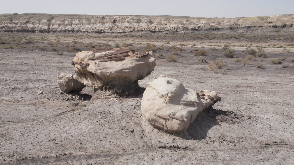 The Bisti Badlands South - North