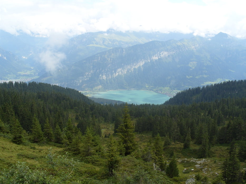 Interlaken - Niederhorn - Enduro schwer