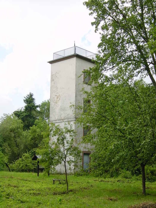 Bodenwerder-Burgberg und zurück