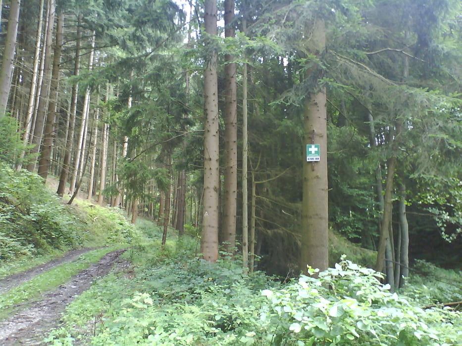 Mosel-Tour