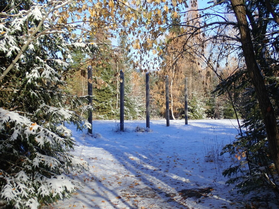 Ring der Erinnerungen - Wolfsbachtal - Dicke Tannen