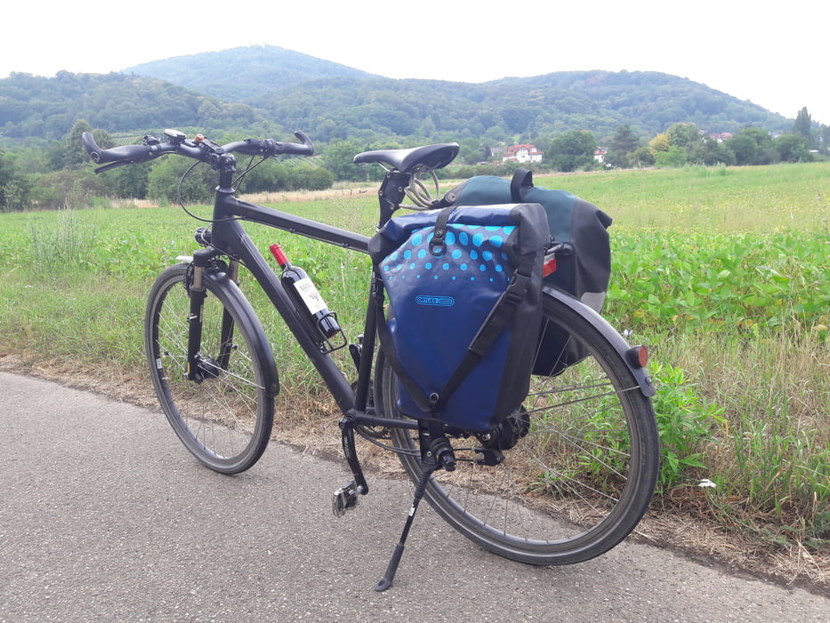 Seniorentour 20180808 Frankfurter Rundtour