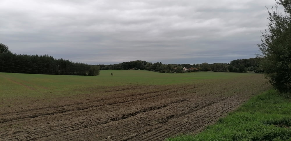 500. Dahlener Heide Türmetour 