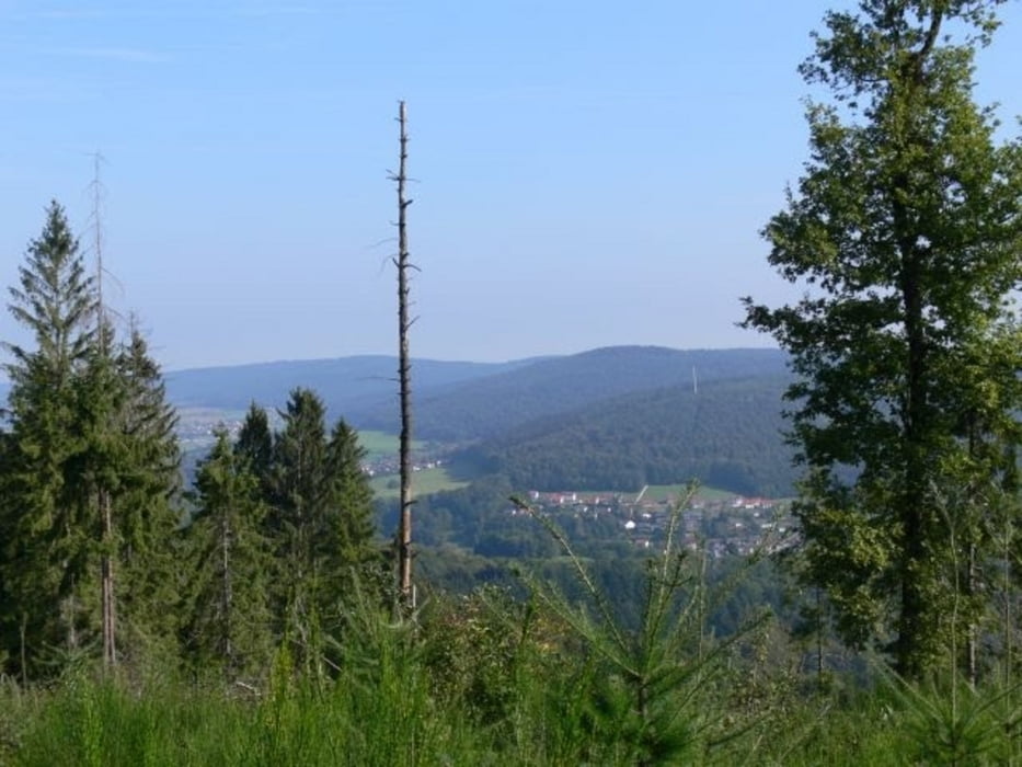 local trecking Heidelberg nach Michelstadt Hinweg