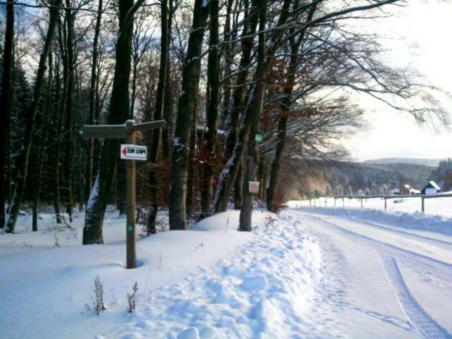 Langlauf in der Gassbach