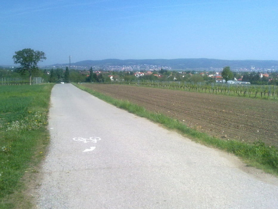 Mattersburg