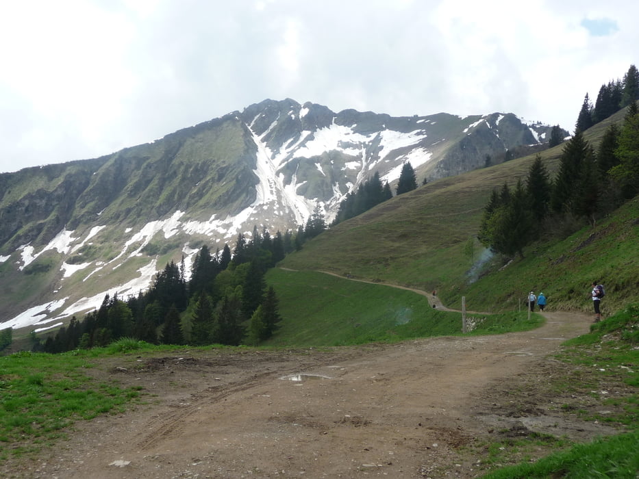 Kornau-Fellhorn 28.05.2016 (9.2 km)
