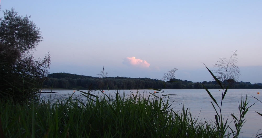 Wandernanders Oberrieder Weiher Kreis Günzburg Raum Krumbach Schwaben Sonnenuntergang Mittelschwäbische Nachrichten Augsburger Allgemeine