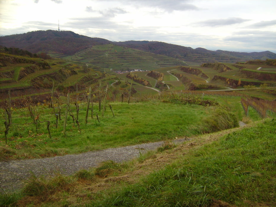Herbstrunde im Kaiserstuhl