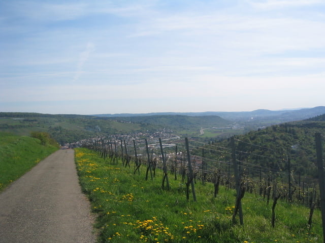 2 Hügeltour durch Schurwald und Remstal