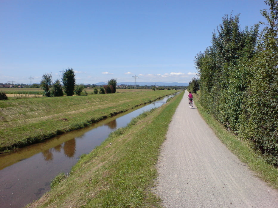Rundtour-Hugsweier-Rhein-Meissenheim-Kürzel-Schuttern