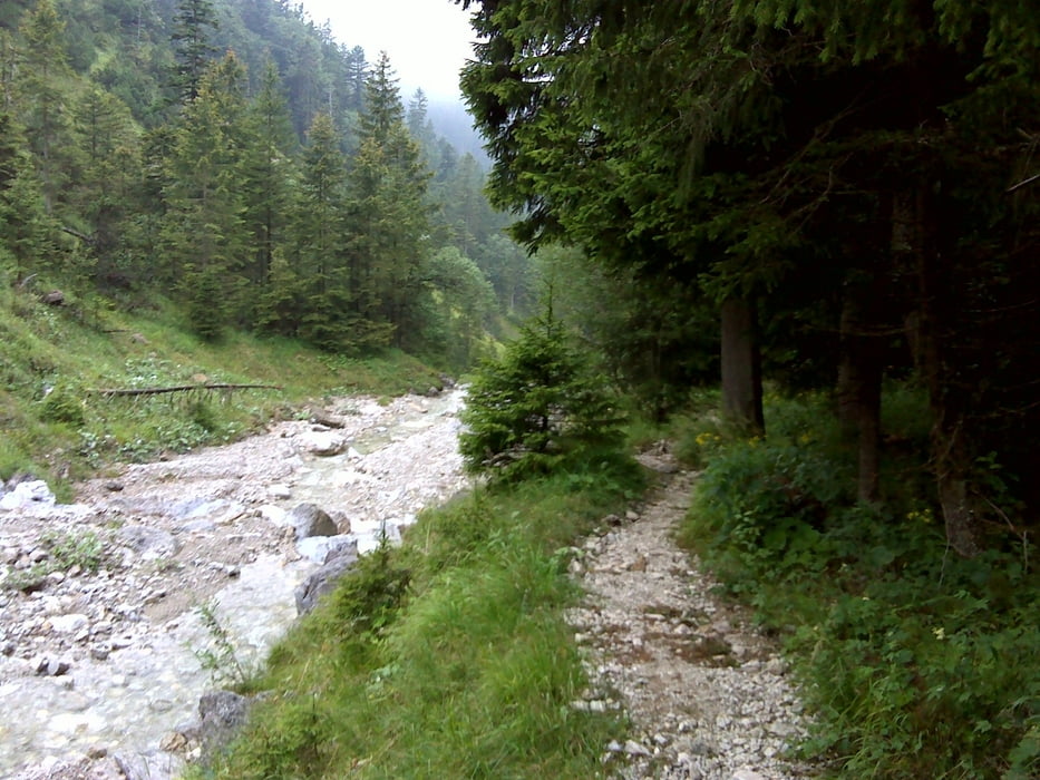 Ohlstadt Single Trails