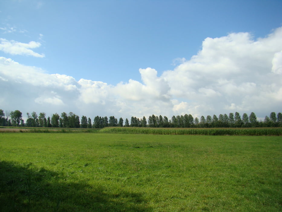 waaslandtreffen wandeling
