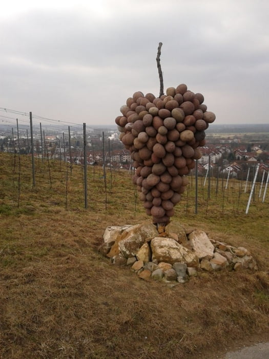 Krehberg - Breitenwiesen (Jenny)